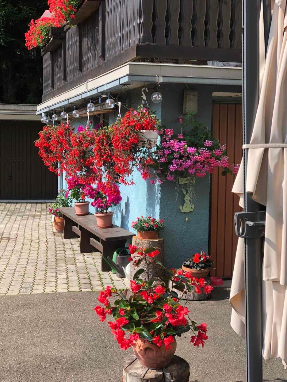 Haus-Erzberg Bed & Breakfast Vordernberg Exterior photo